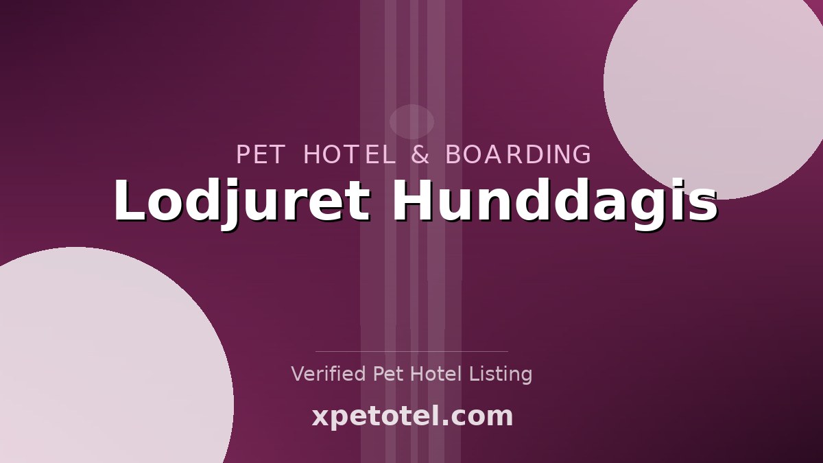 Lodjuret Hunddagis pet hotel Malmö