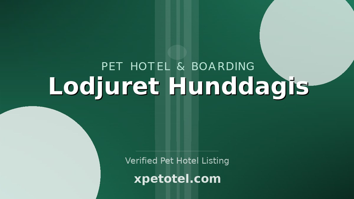 Lodjuret Hunddagis