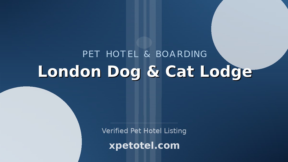 London Dog & Cat Lodge pet hotel London