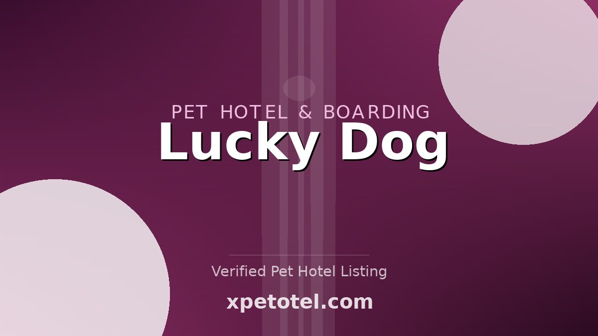 Lucky Dog pet hotel United States