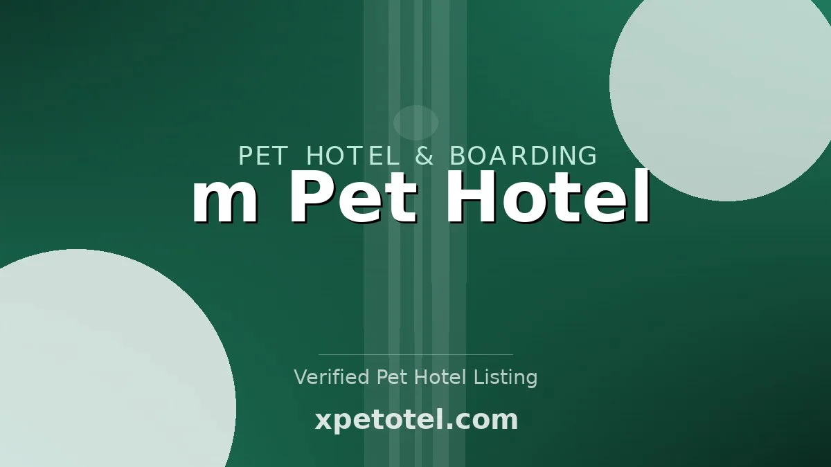 m Pet Hotel