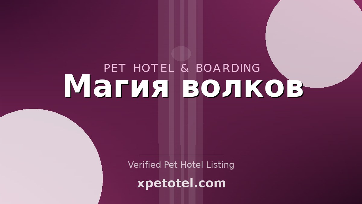 Магия волков pet hotel Russia