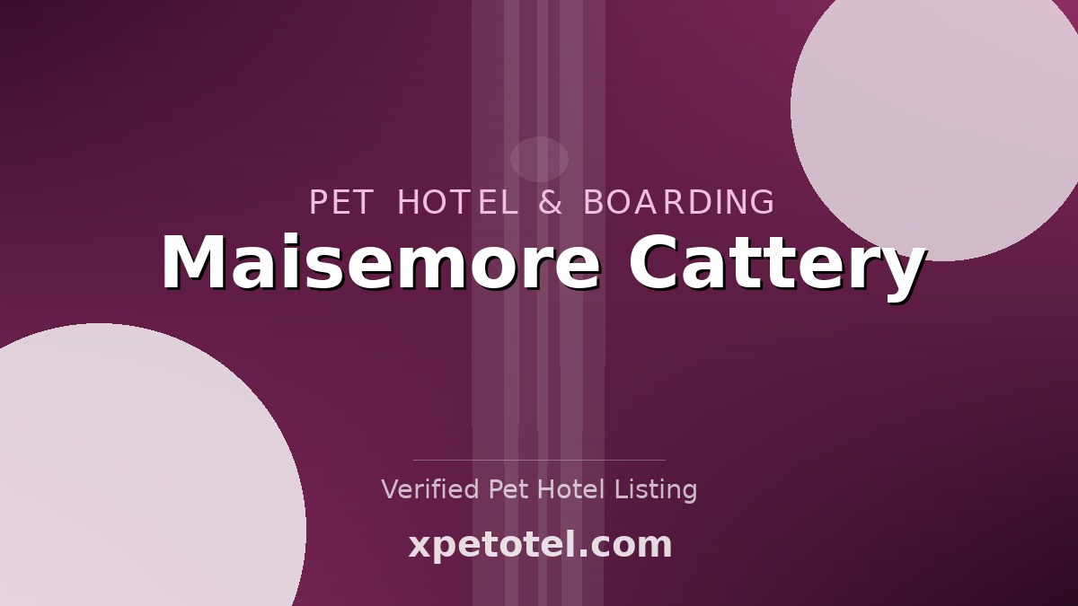 Maisemore Cattery pet hotel Oldbury on Severn