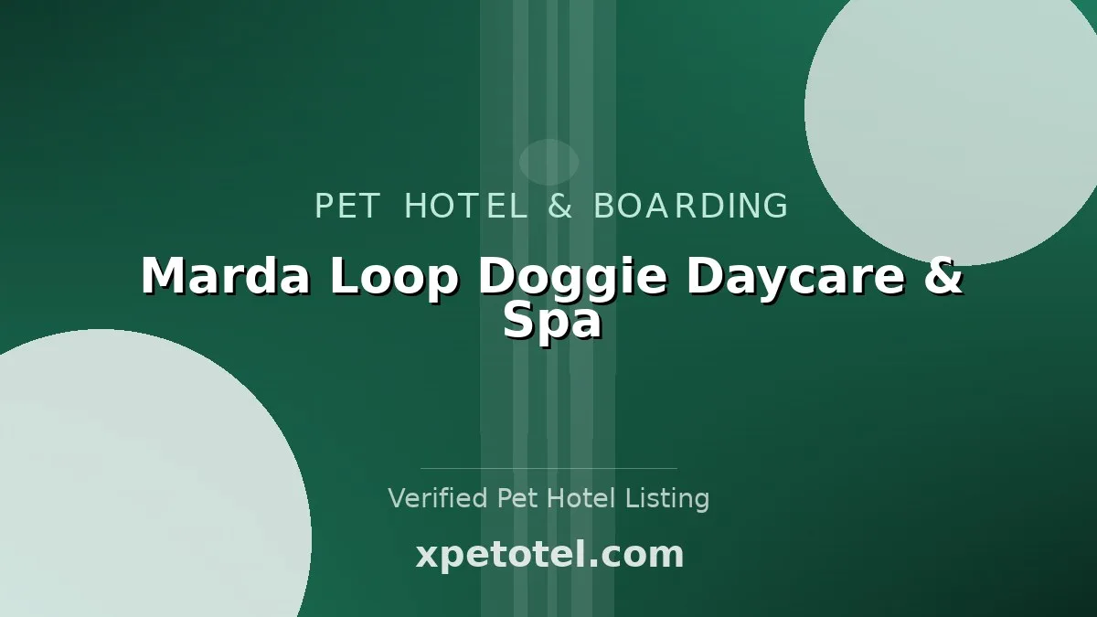 Marda Loop Doggie Daycare & Spa
