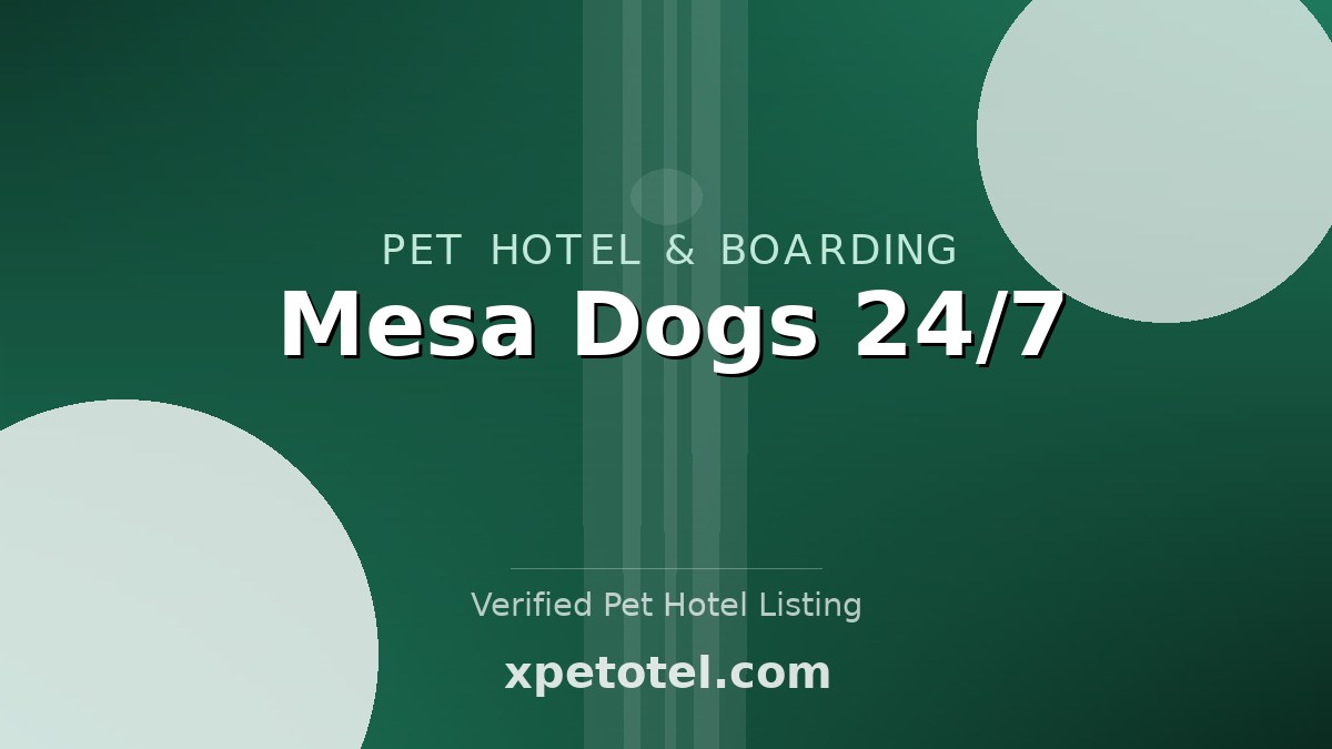 Mesa Dogs 24/7