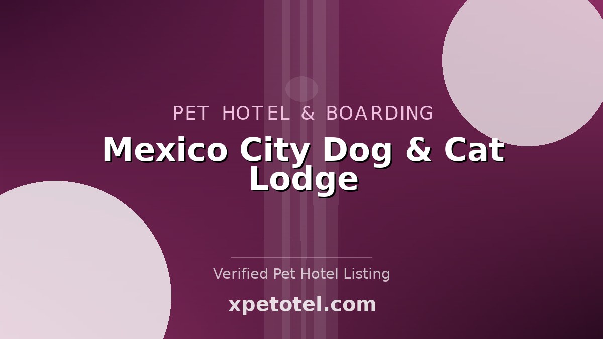 Mexico City Dog & Cat Lodge pet hotel Mexico City