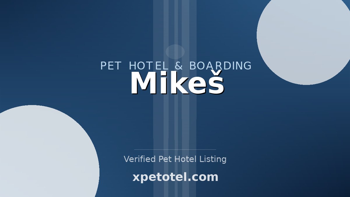 Mikeš pet hotel Prague