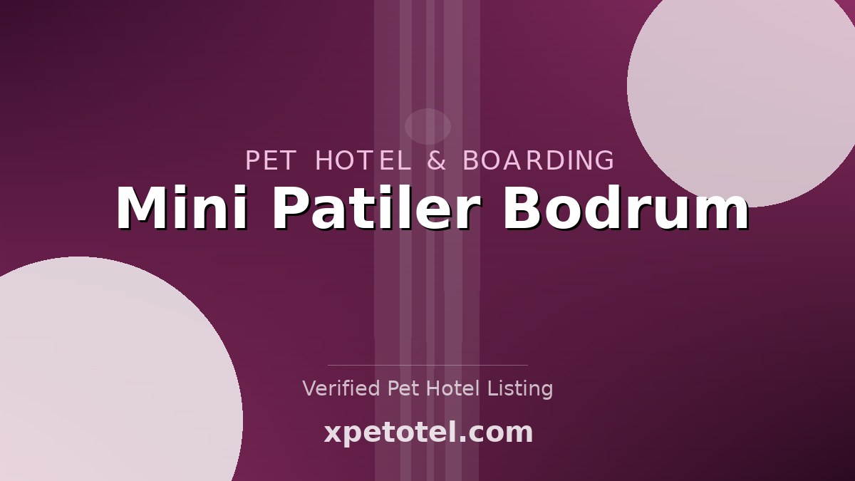 Mini Patiler Bodrum pet hotel Bodrum