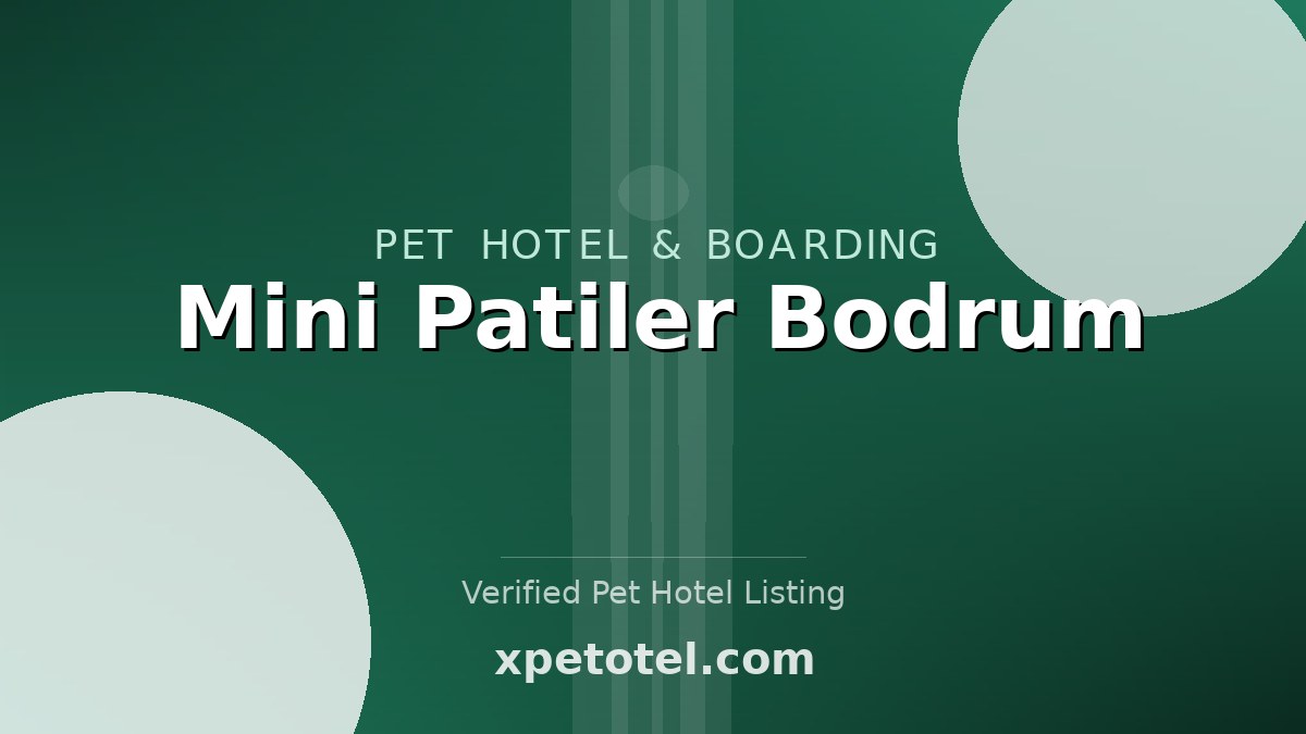 Mini Patiler Bodrum