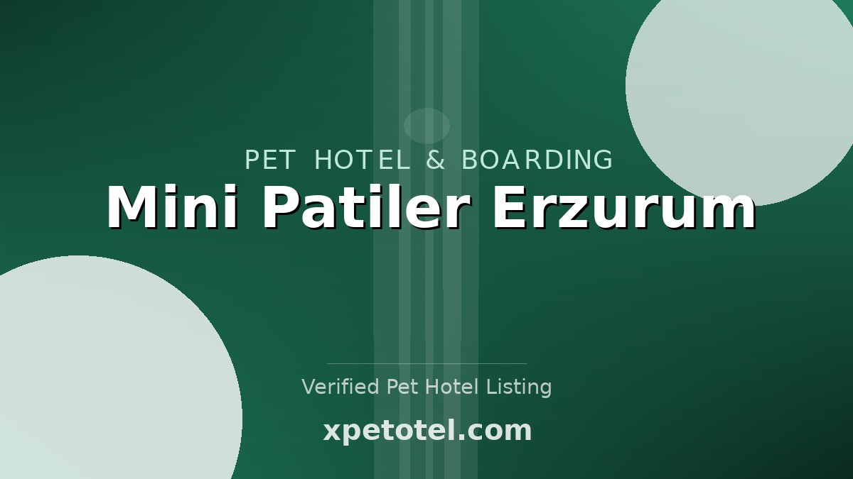 Mini Patiler Erzurum