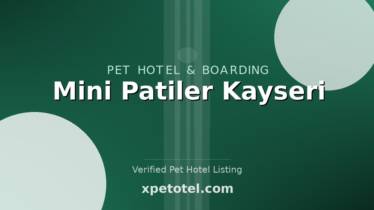 Mini Patiler Kayseri