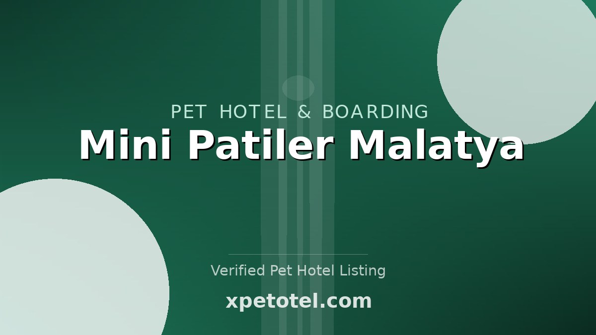Mini Patiler Malatya
