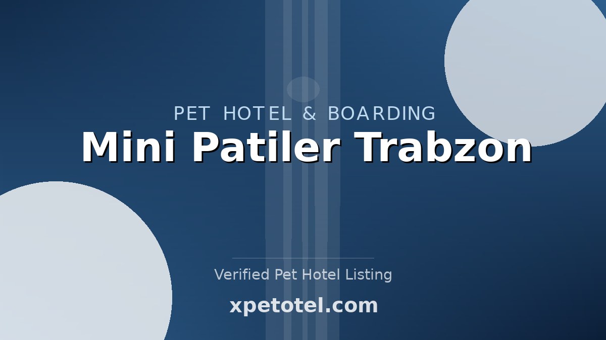 Mini Patiler Trabzon pet hotel Trabzon