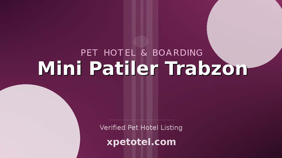 Mini Patiler Trabzon pet hotel Trabzon