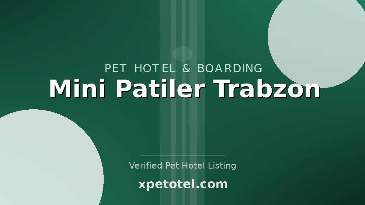 Mini Patiler Trabzon