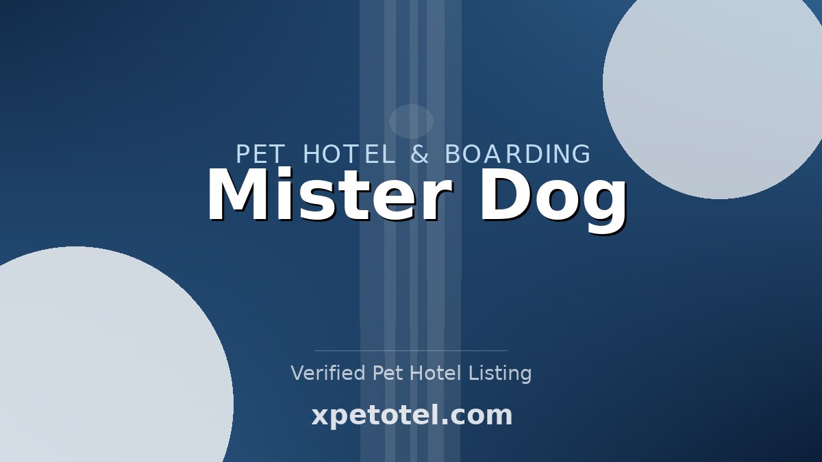 Mister Dog pet hotel Russia