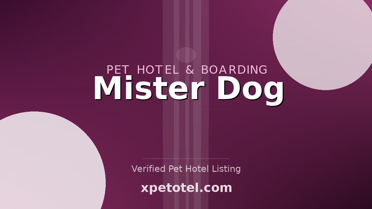 Mister Dog pet hotel Russia