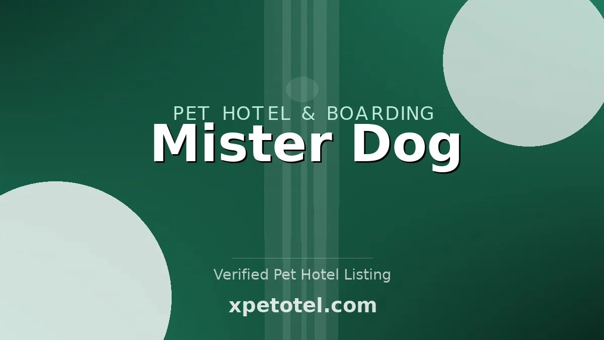 Mister Dog