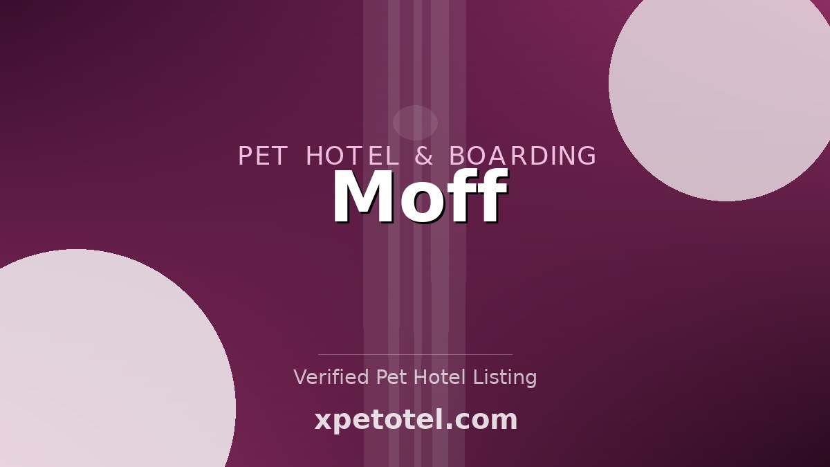 Moff pet hotel 大田区