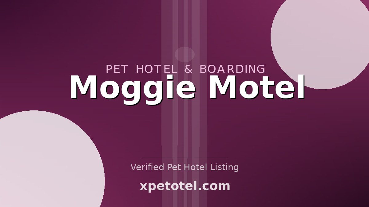 Moggie Motel pet hotel Watlington