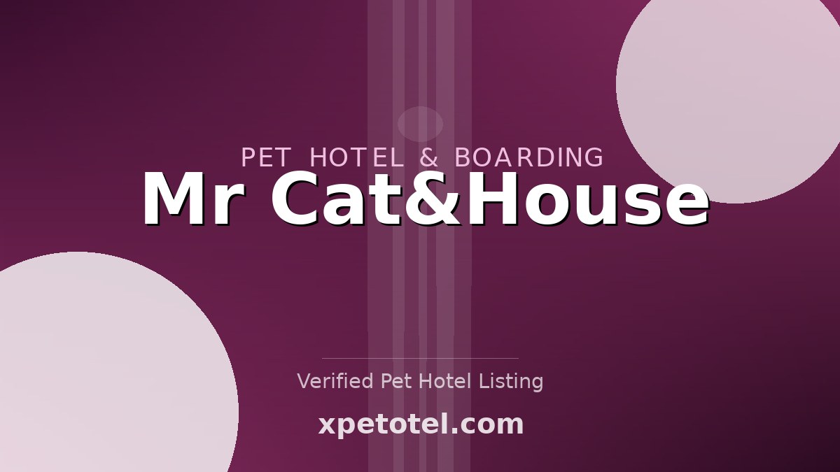 Mr Cat&House pet hotel Одинцово