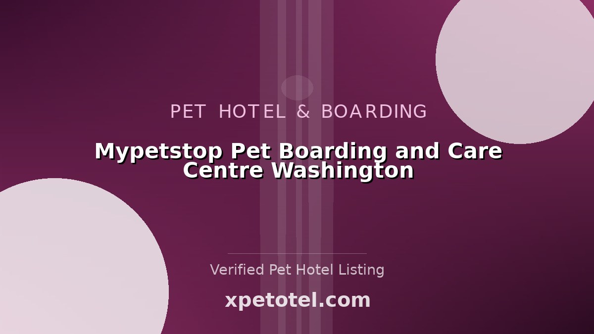 Mypetstop Pet Boarding and Care Centre Washington pet hotel Washington