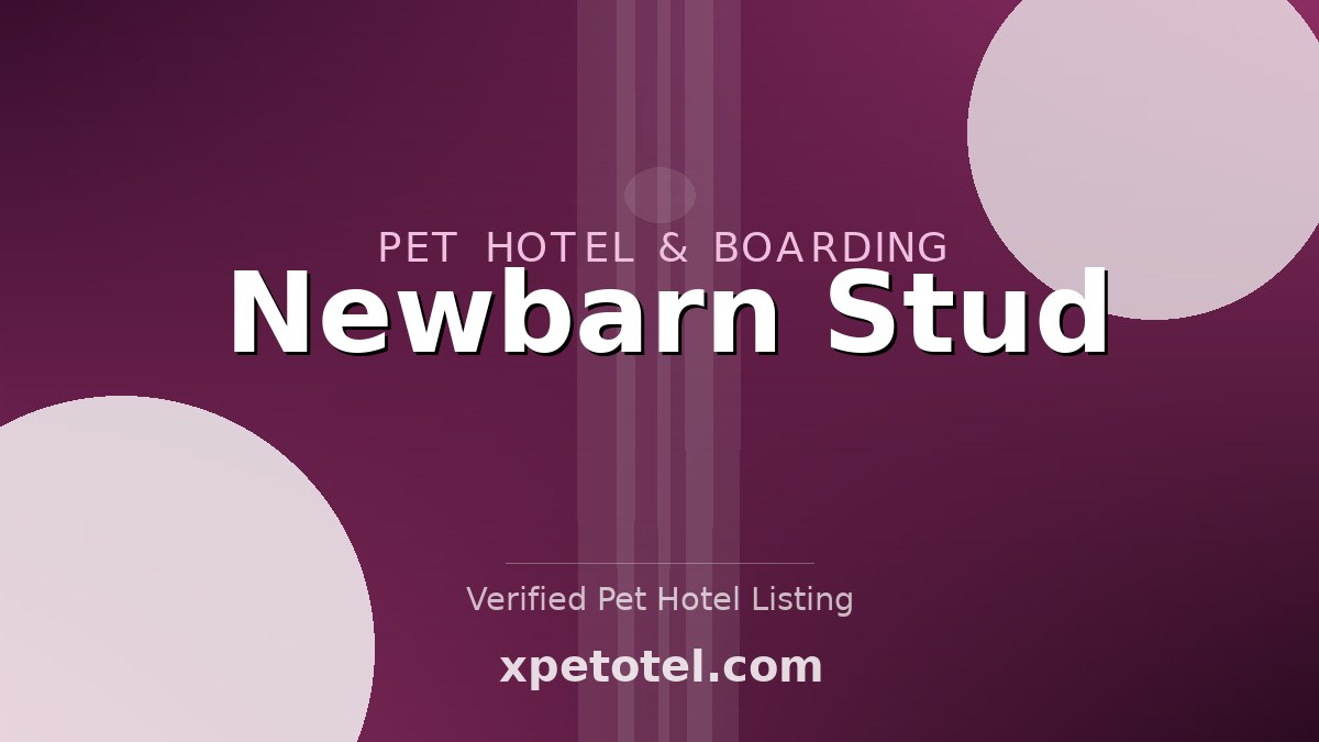 Newbarn Stud pet hotel Great Bromley