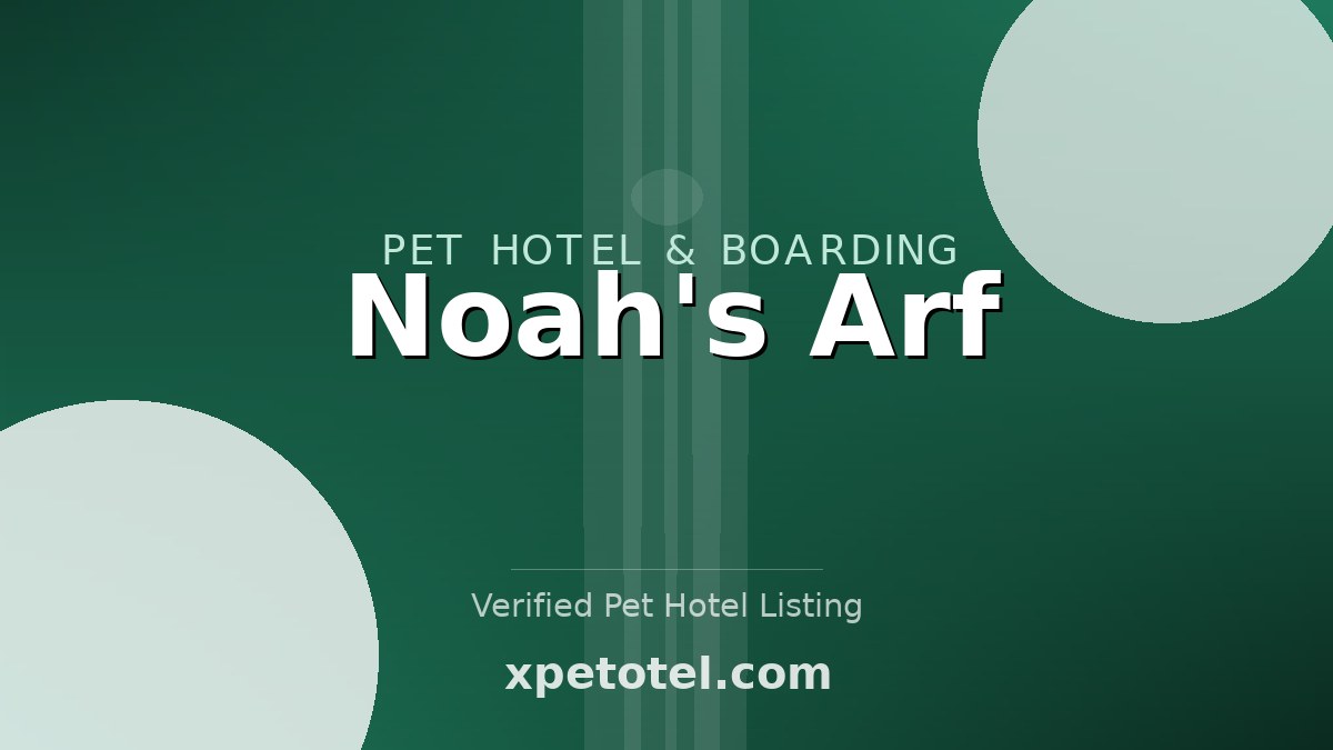 Noah's Arf