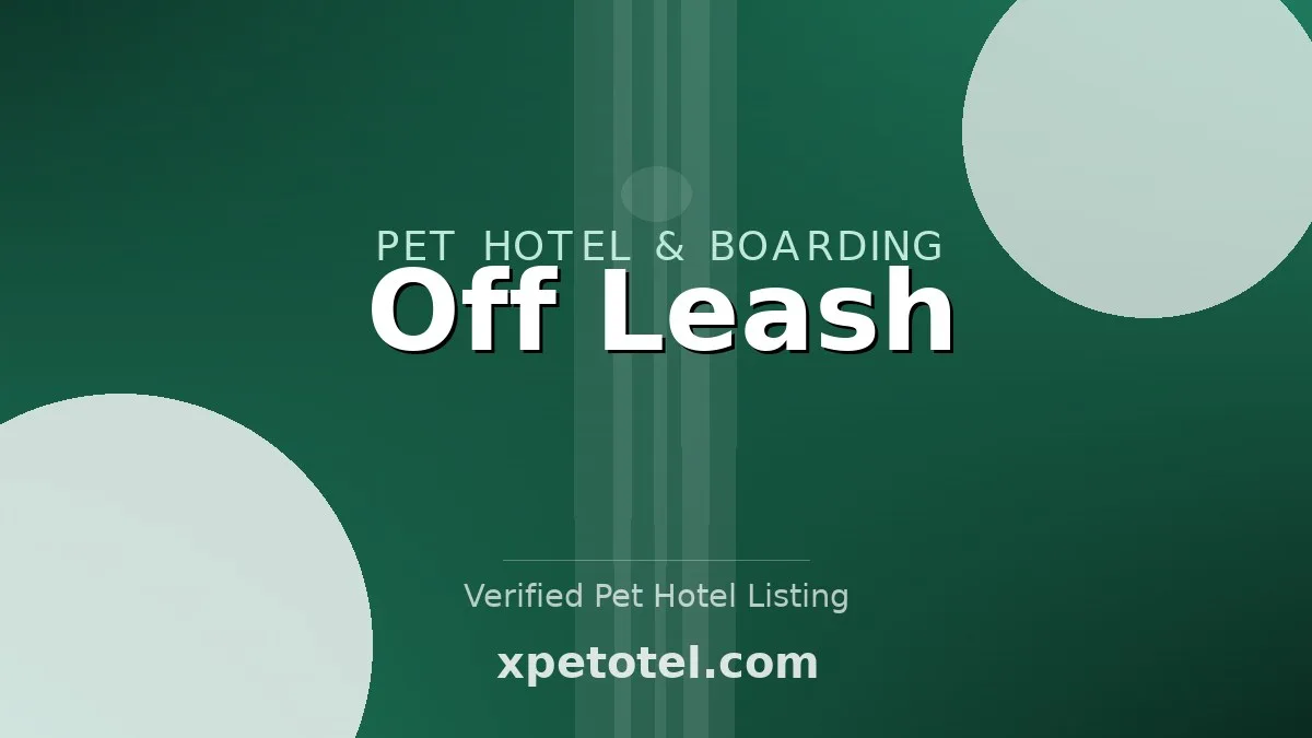 Off Leash