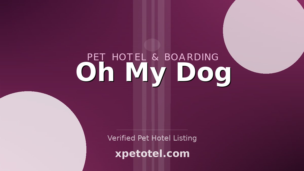 Oh My Dog pet hotel Saint Paul