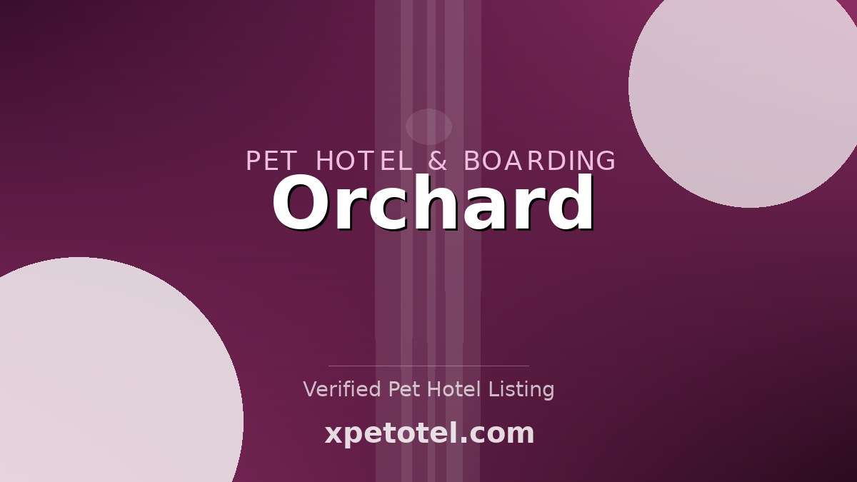 Orchard pet hotel Nottingham