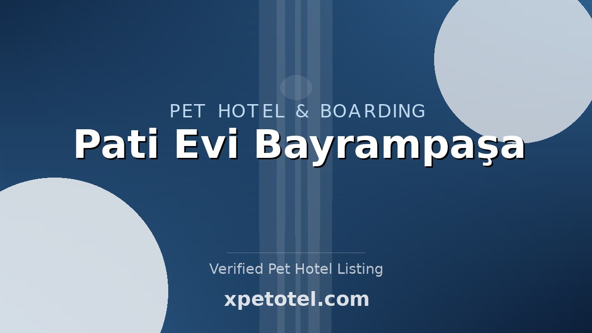 Pati Evi Bayrampaşa pet hotel Istanbul