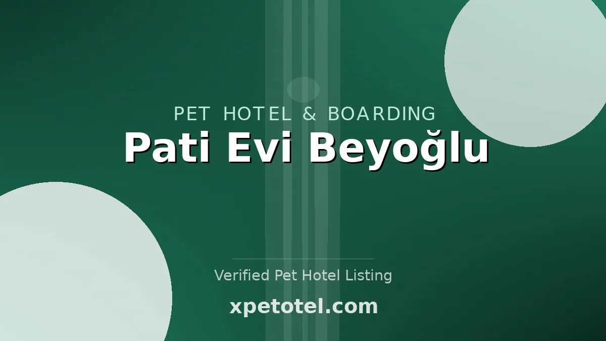 Pati Evi Beyoğlu