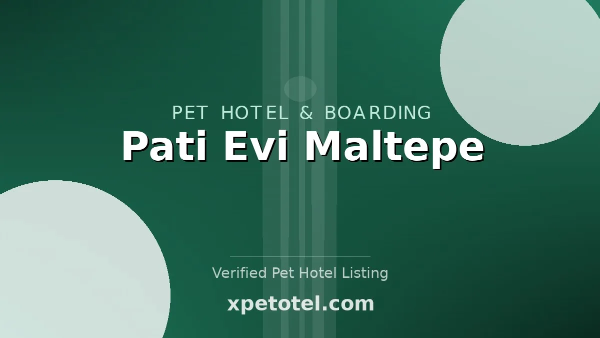Pati Evi Maltepe