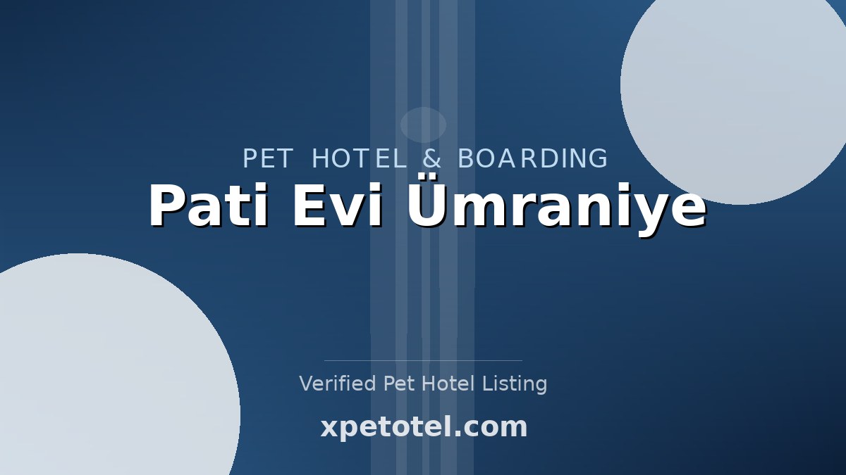 Pati Evi Ümraniye pet hotel Istanbul