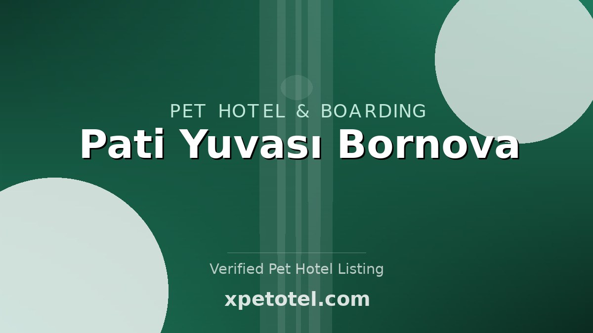 Pati Yuvası Bornova