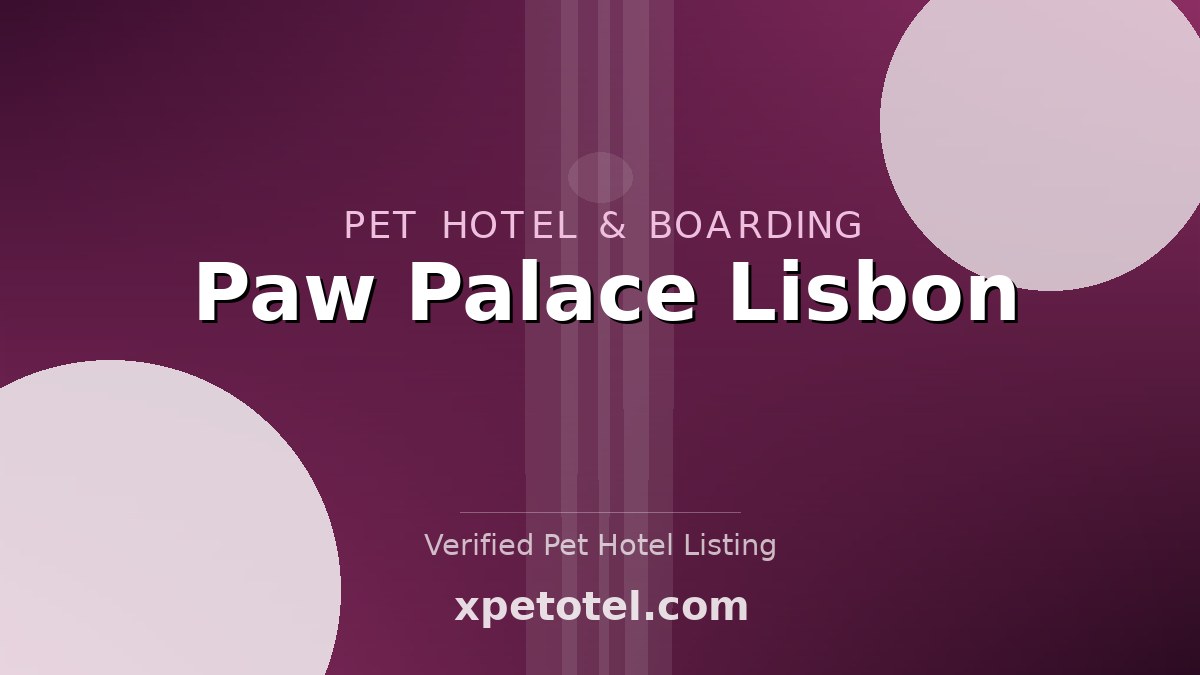 Paw Palace Lisbon pet hotel Lisbon