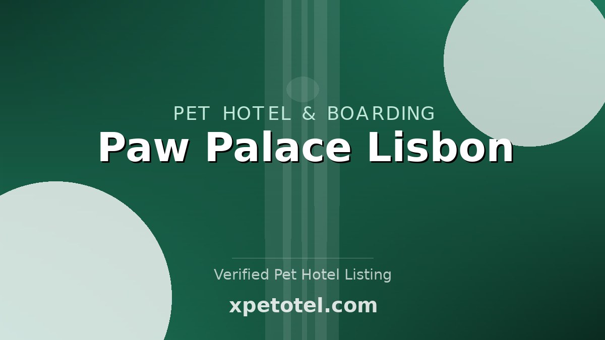 Paw Palace Lisbon