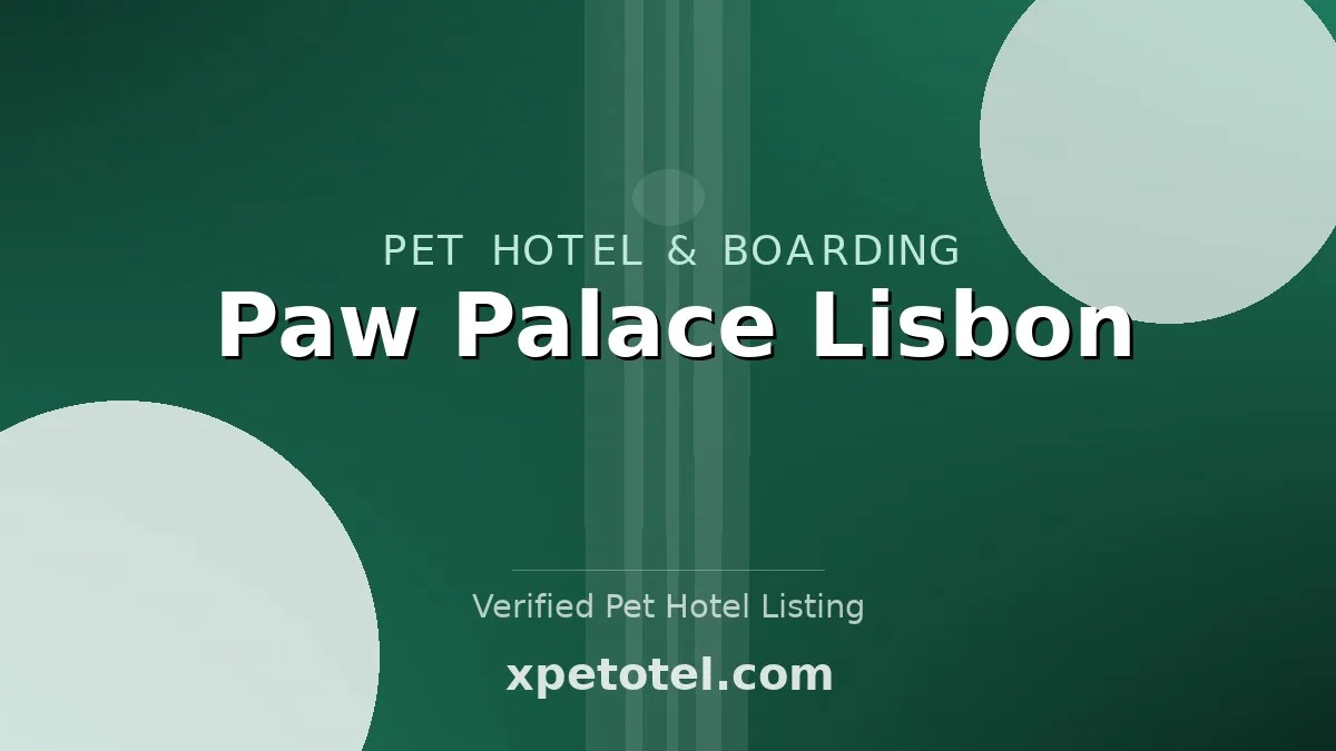 Paw Palace Lisbon