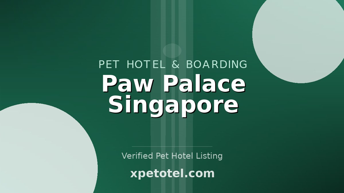 Paw Palace Singapore