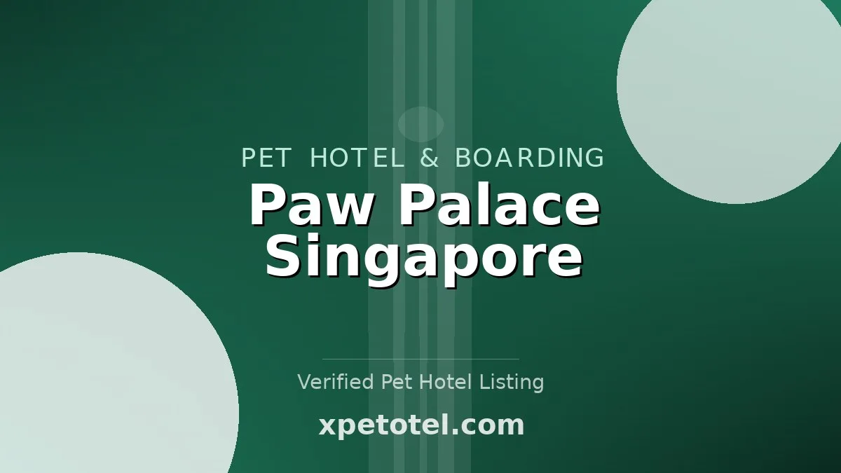 Paw Palace Singapore