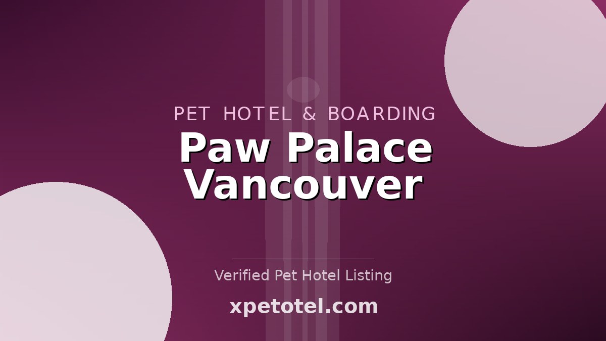 Paw Palace Vancouver pet hotel Vancouver