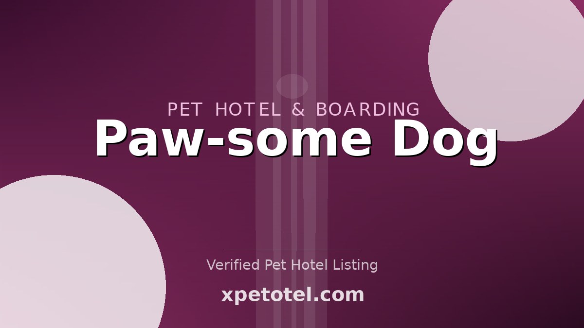 Paw-some Dog pet hotel Playa Del Rey
