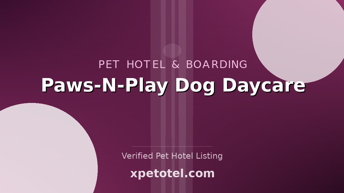 Paws-N-Play Dog Daycare pet hotel Centreville