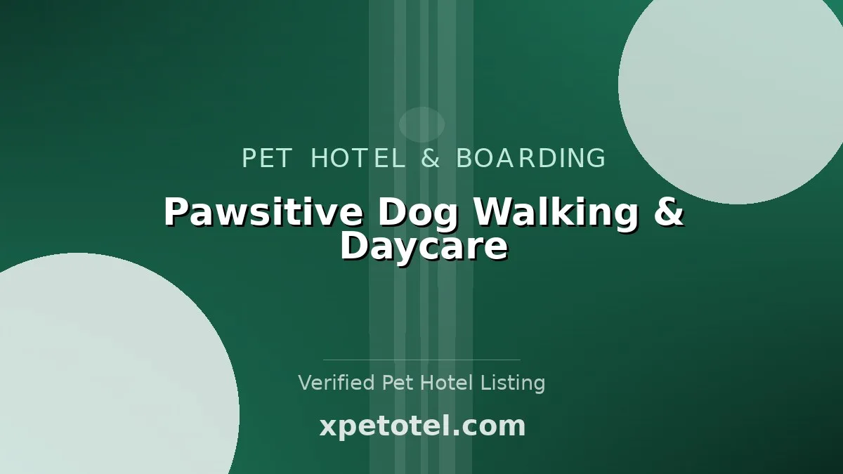 Pawsitive Dog Walking & Daycare