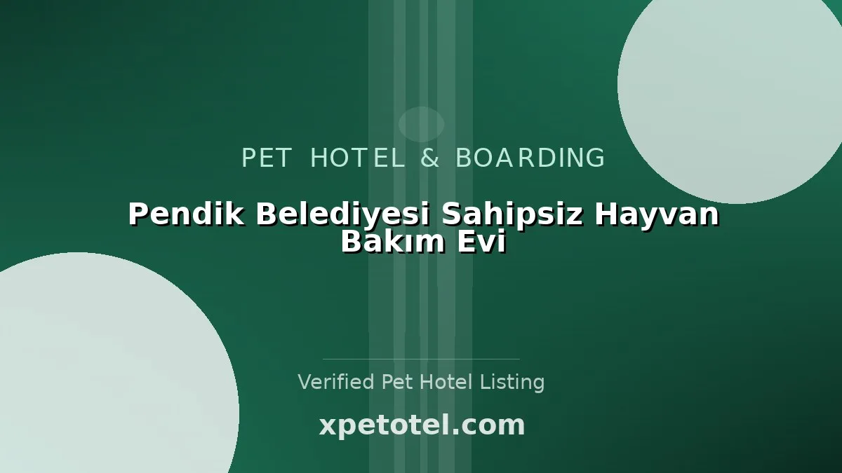 Pendik Belediyesi Sahipsiz Hayvan Bakım Evi