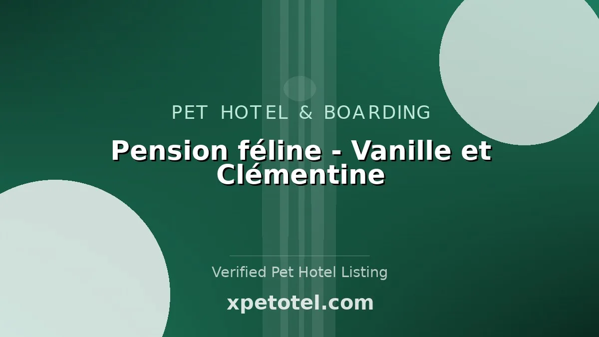 Pension féline - Vanille et Clémentine