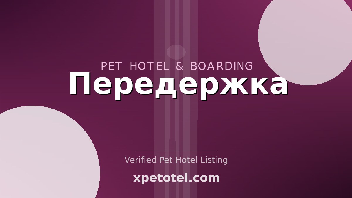 Передержка pet hotel Belarus