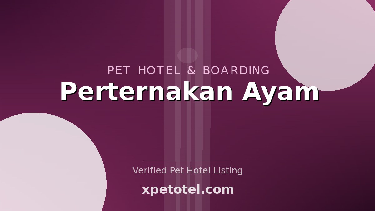 Perternakan Ayam pet hotel Yogyakarta