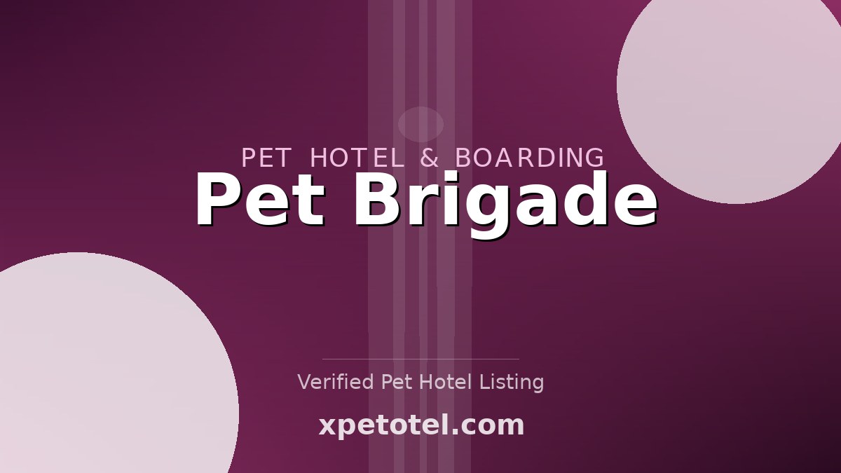 Pet Brigade pet hotel Tacoma